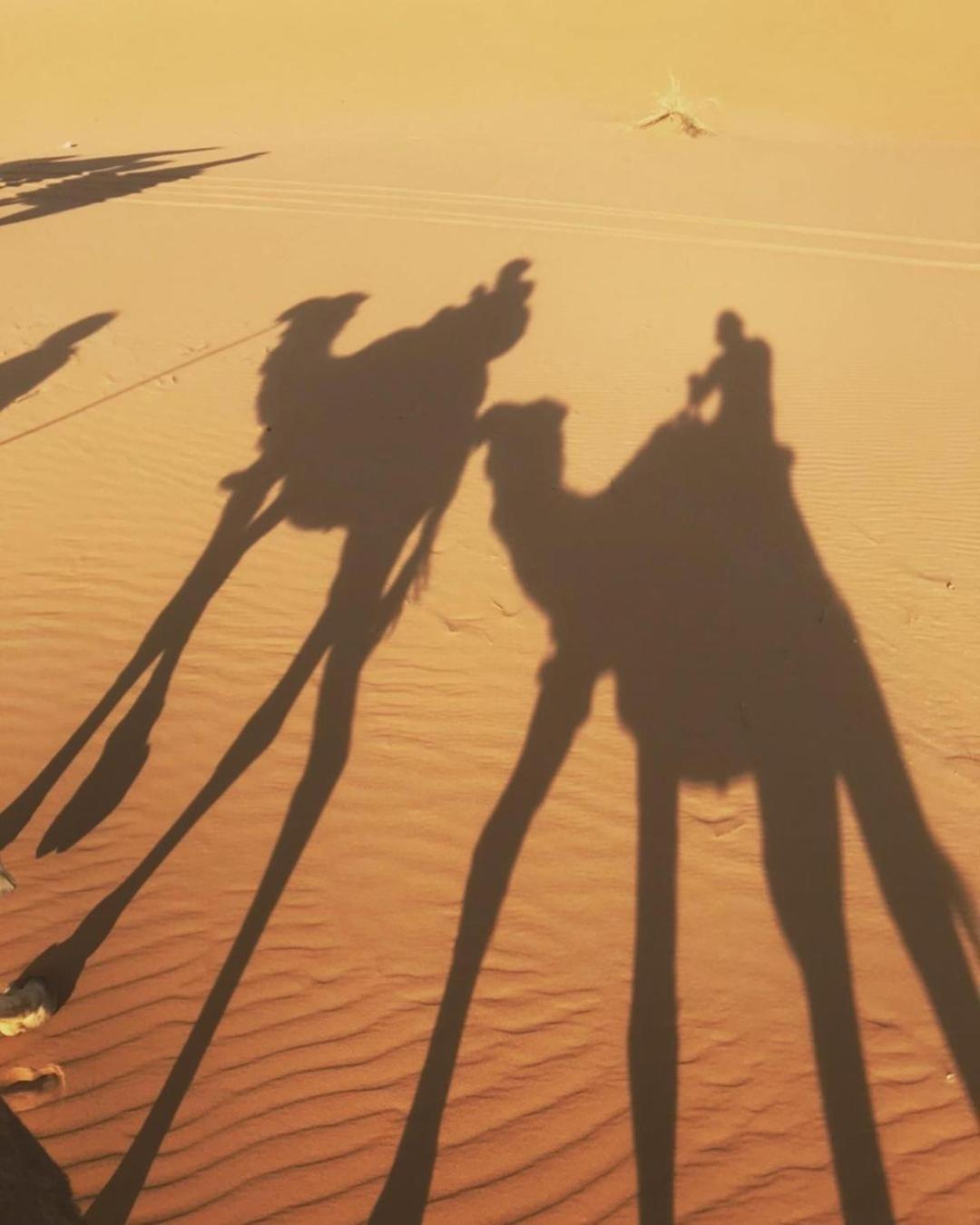 Desert Lover'S Luxury Camp Мерзуга Экстерьер фото